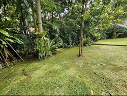 King Albert Park (D21), Detached #519532091